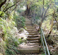 Nature track - Stayed