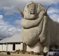 Big Merino - Stayed