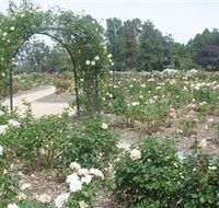 Victoria Park Rose Garden - Stayed