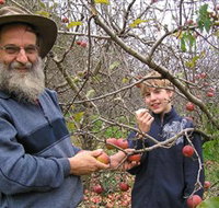 Pine Crest Orchard - Stayed