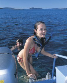 Seal Cove - Stayed 0