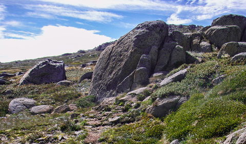 Mount Stillwell Walk - Stays Accommodation 0