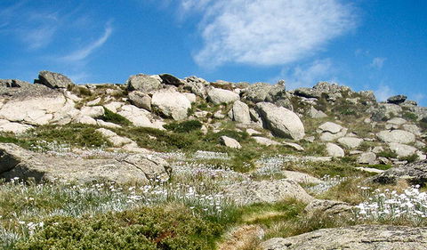 Mount Stillwell Walk - Stays Accommodation 1