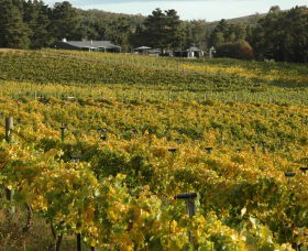 Lark Hill Biodynamic Winery - Stayed 2