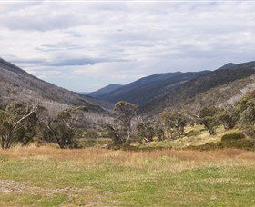 Dead Horse Gap - Stayed 2