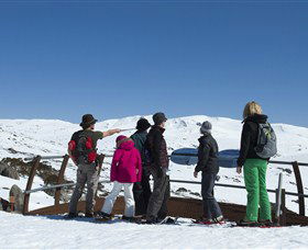Charlotte Pass And Lookout - Stayed 1