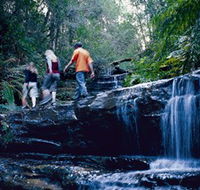 South Lawson Waterfall Circuit - Stayed