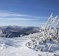 Rock Creek snowshoe track