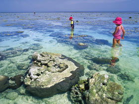 Southern Great Barrier Reef - Stayed 1