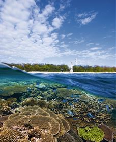 Southern Great Barrier Reef - Stayed 2