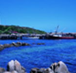 King Island Dairies - Stayed