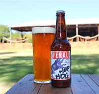 Feral Brewing Company - Stayed
