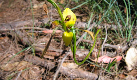 Bangadilly National Park - Stayed 2