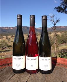 Dryridge Estate - Stayed 2