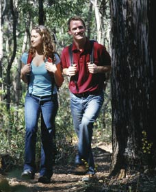 Bibbulmun Track - Stayed 1