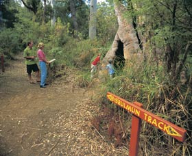 Bibbulmun Track - Stayed 3