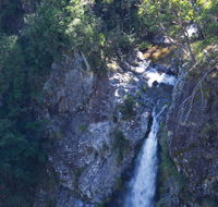 Lyrebird Falls walking track - Stayed