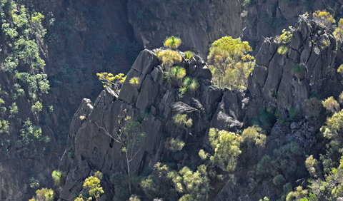 Bungonia National Park - Stayed 2