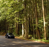 Greater Blue Mountains drive - Stayed
