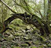 Mitchell River National Park - Stayed