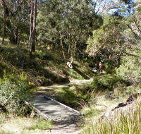 Wollomombi walking track - Stayed