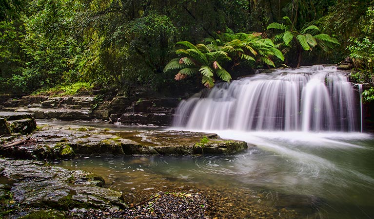 Brookfield NSW Stayed