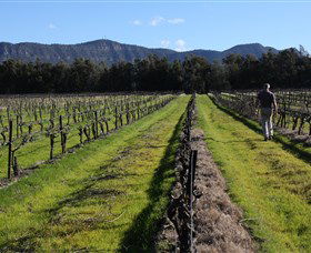 Around Hermitage Wine And Food Trail Hunter Valley - Stays Accommodation 1