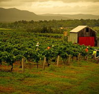 Around Hermitage Wine and Food Trail Hunter Valley - Stayed