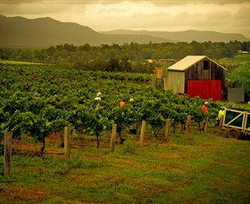 Around Hermitage Wine And Food Trail Hunter Valley - Stays Accommodation 0