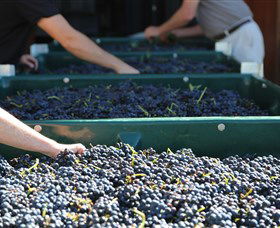 Around Hermitage Wine And Food Trail Hunter Valley - Stays Accommodation 6