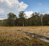 Mummel Gulf National Park - Stayed