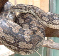 Armadale Reptile Centre - Stayed