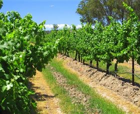 Misty Glen Wines And Cottage - Stayed 1