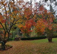 Bellbird Cottage - Stayed