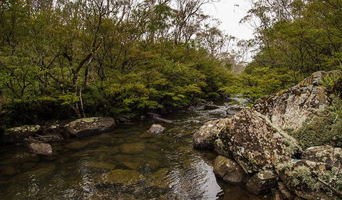 River Walking Track - Stays Accommodation 0