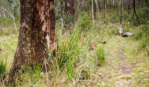 River Walking Track - Stays Accommodation 1