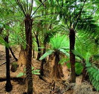 Pegarah Private Nature Reserve  Parenna Place - Stayed