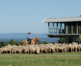 South Maroota NSW Stayed