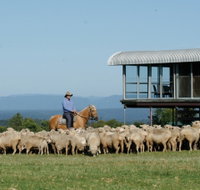 Tobruk Sydney - Stayed