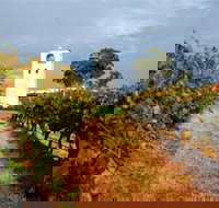 Bimbadgen Winery - Stayed