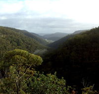 Nattai Gorge Lookout - Stayed