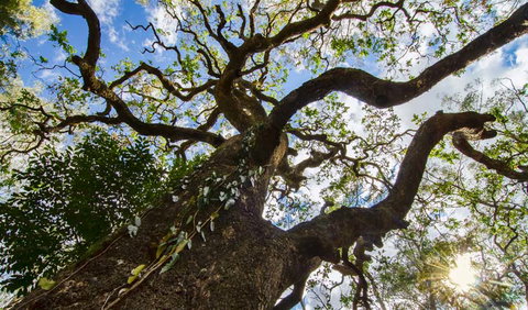 Woko National Park - Stayed 1