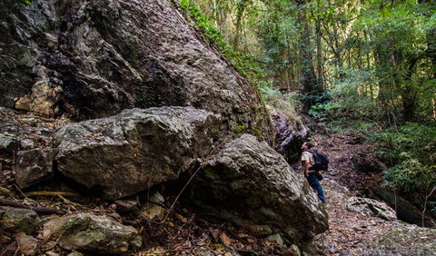 Woko National Park - Stayed 2