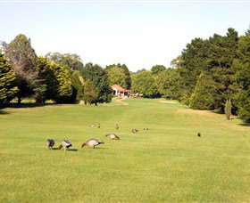 Moss Vale Golf Club - Stayed 2