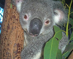 Hunter Valley Zoo - Stayed 0