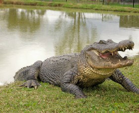 Hunter Valley Zoo - Stayed 1