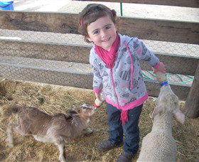 Hunter Valley Zoo - Stayed 4