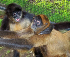 Hunter Valley Zoo - Stayed 5