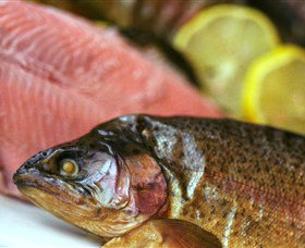 Lovedale Smokehouse Gourmet Pantry, Cafe And Masterclasses - Stayed 0