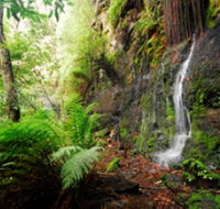 Fairy Bower Falls - Stayed